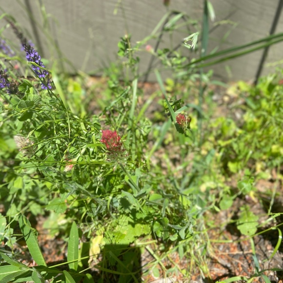 Meet your Posher, Patricia - Picture 10 of 13